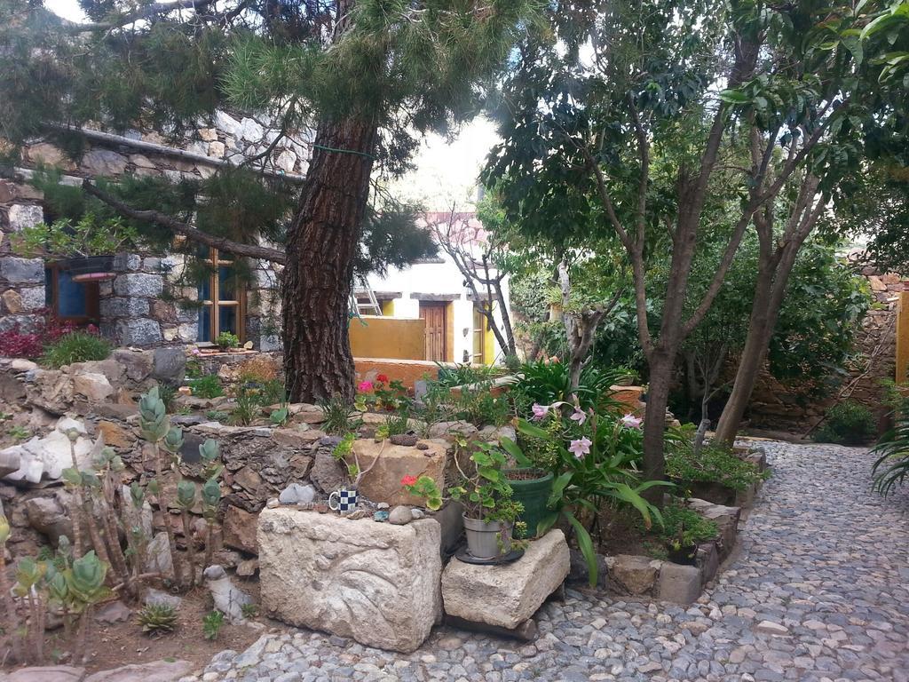 Casa Curtos Apartment Catorce Cameră foto
