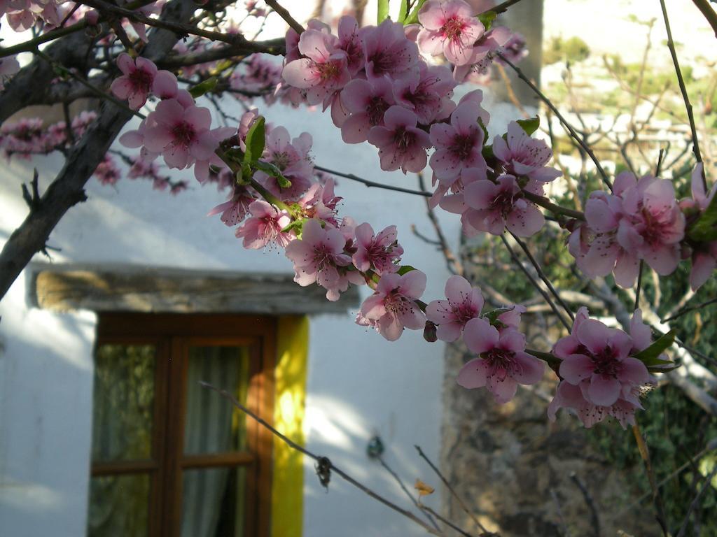 Casa Curtos Apartment Catorce Cameră foto